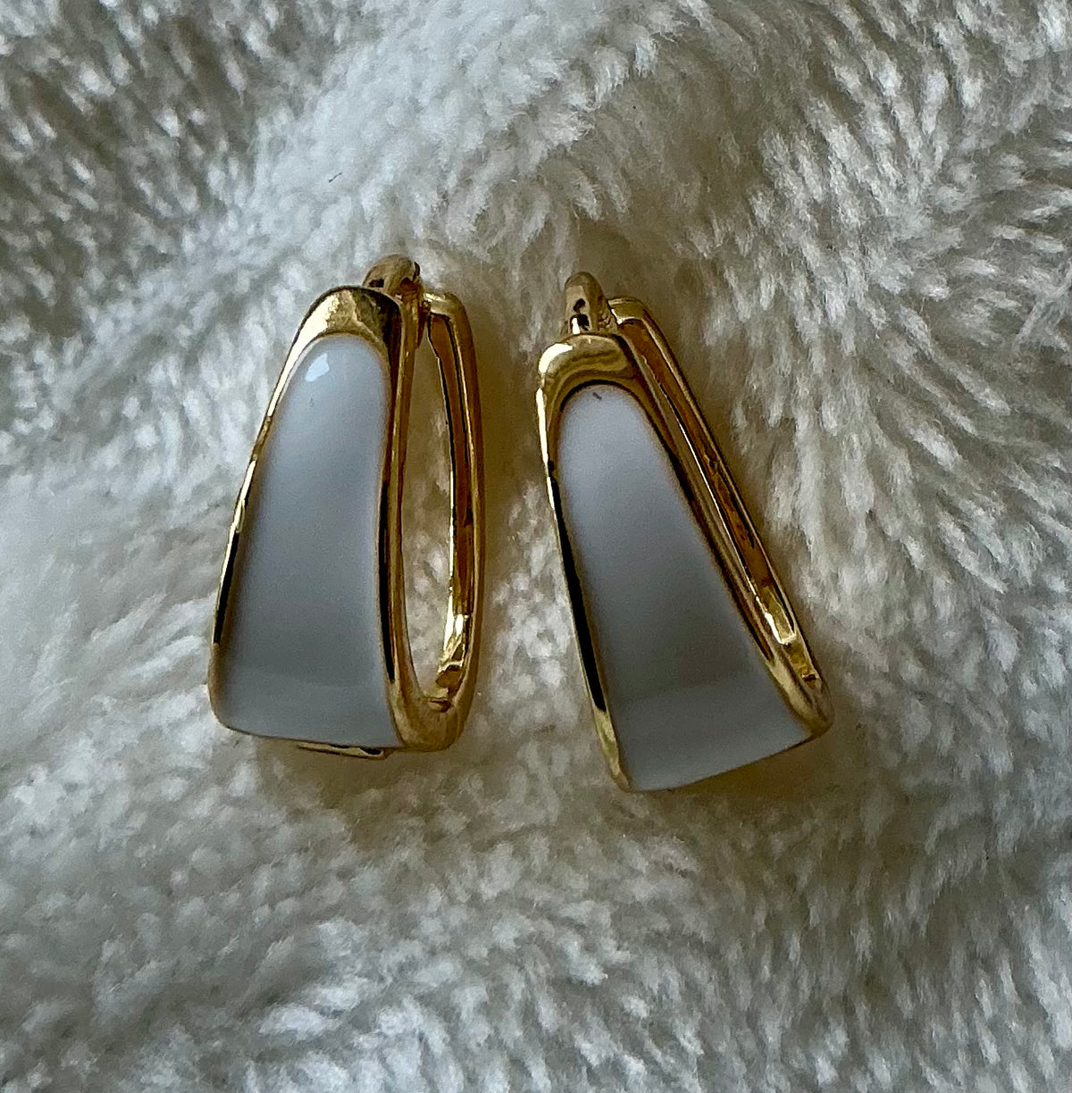A Pair of Minimalist and Luxurious Women's Earrings