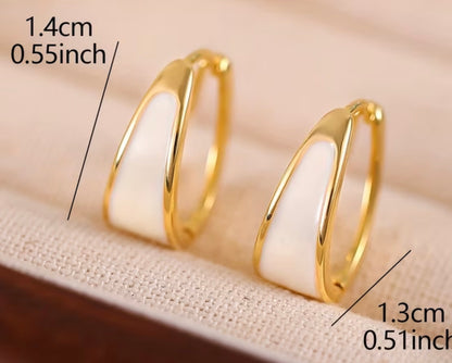 A Pair of Minimalist and Luxurious Women's Earrings